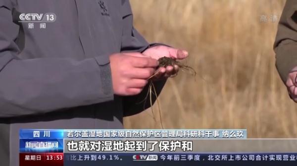 湿地能够吸收空气中的二氧化碳，湿地能够吸收空气中的二氧化碳吗（我国将加大泥炭沼泽湿地保护）