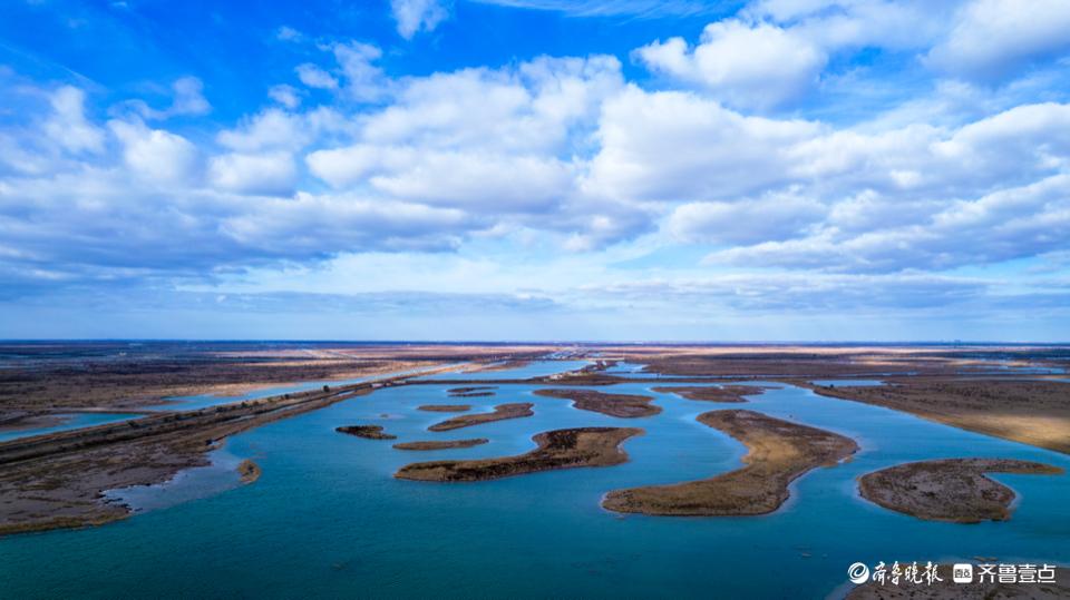 黄河入海流在哪里入海，黄河入海口的简介