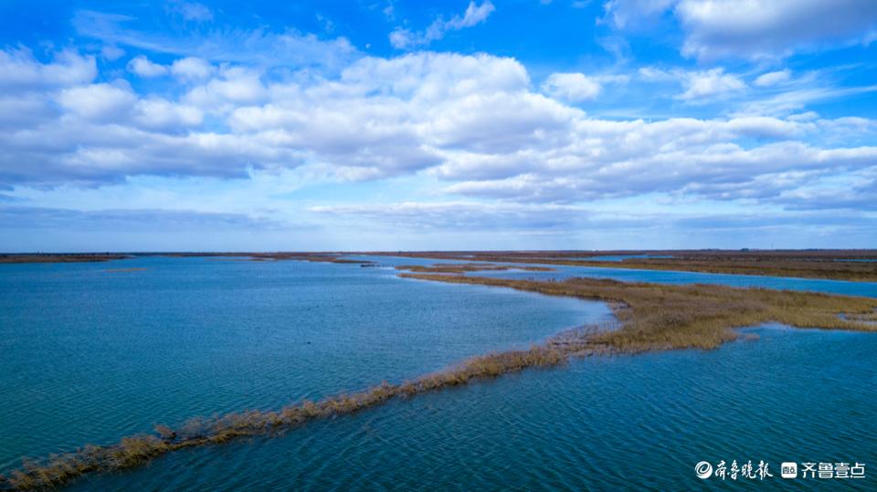 黄河入海流在哪里入海，黄河入海口的简介