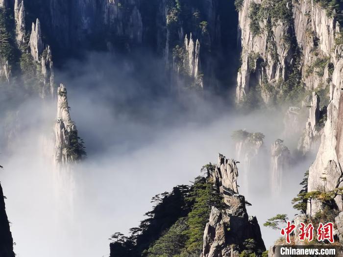 黄山四绝之瑰丽的云海奇观，安徽黄山现云海景观