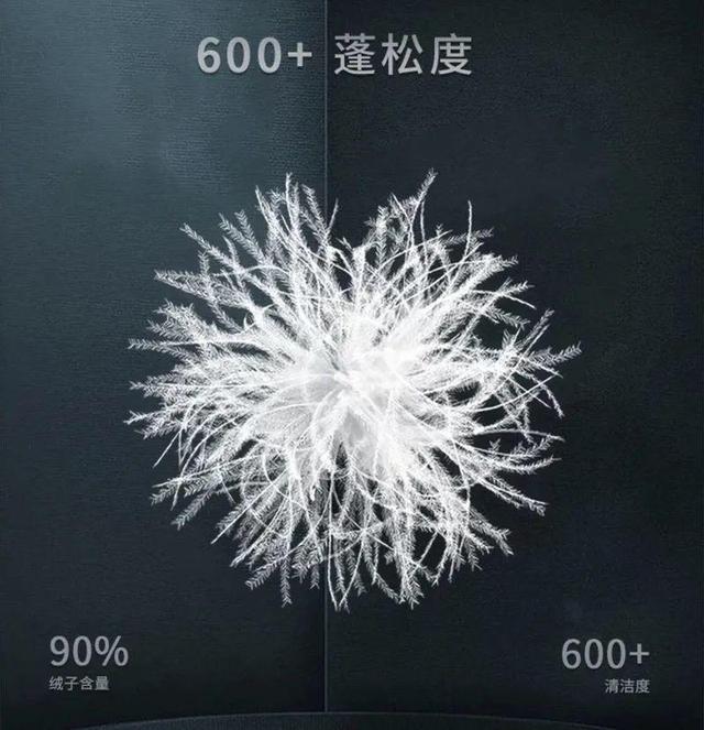羽绒服的充绒量标准是多少，羽绒服充绒量标准多少（今年买羽绒服别看“含绒量”了）