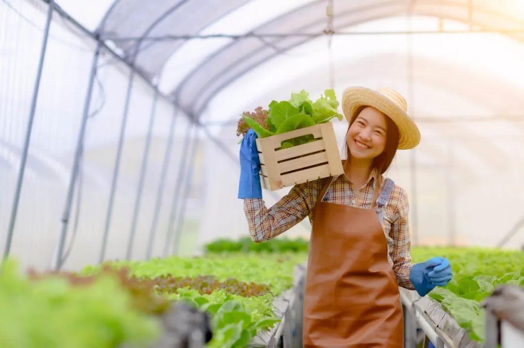 青菜品种大全及名称，所有青菜种类列表（种蔬菜基本不打农药）
