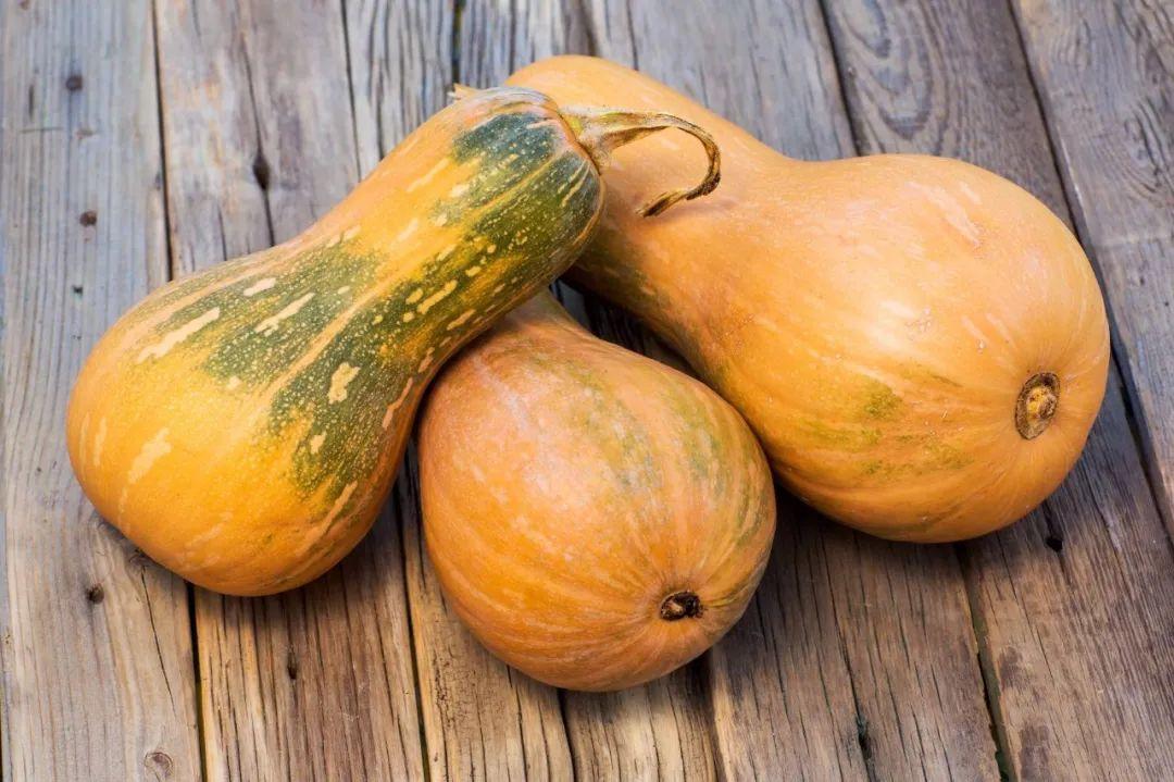 青菜品种大全及名称，所有青菜种类列表（种蔬菜基本不打农药）