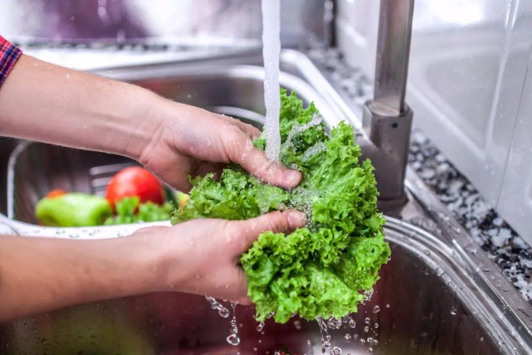 青菜品种大全及名称，所有青菜种类列表（种蔬菜基本不打农药）