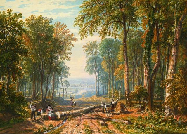 象征健康的树，寓意健康的树（一部隐喻人类历史与未来道路的树木文明史）