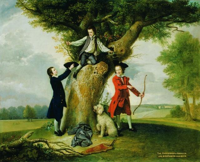 象征健康的树，寓意健康的树（一部隐喻人类历史与未来道路的树木文明史）