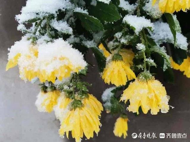 小雪节气有关的传说故事，关于大雪节气的民间故事（词话二十四节气之小雪）