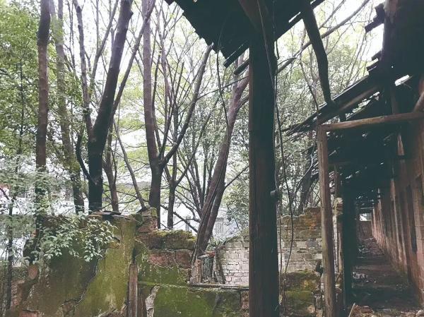 校园网会不会监控学生浏览记录，校园网会不会监控学生浏览记录违法吗（15岁男生离奇失踪40天）