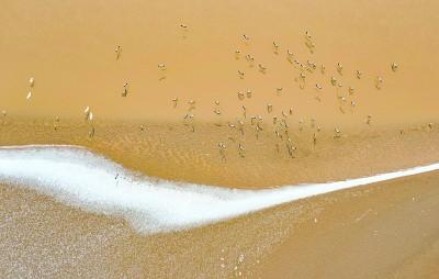 黄河流入哪个海，黄河注入什么海（黄河三叠）