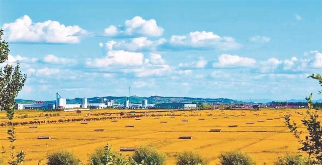 五常水稻核心产区，稻乡五常稻粱肥