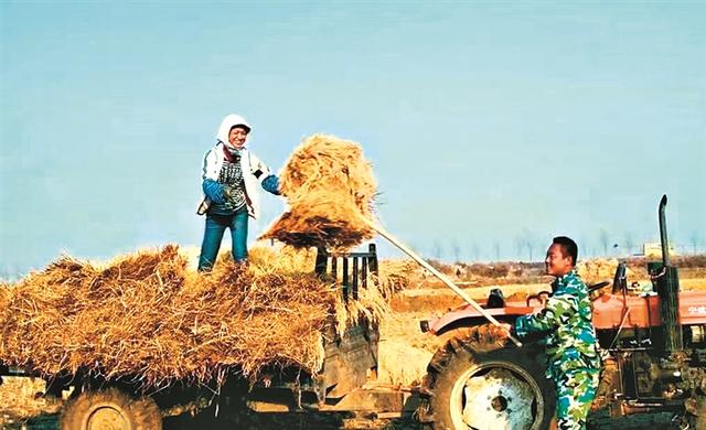 五常水稻核心产区，稻乡五常稻粱肥