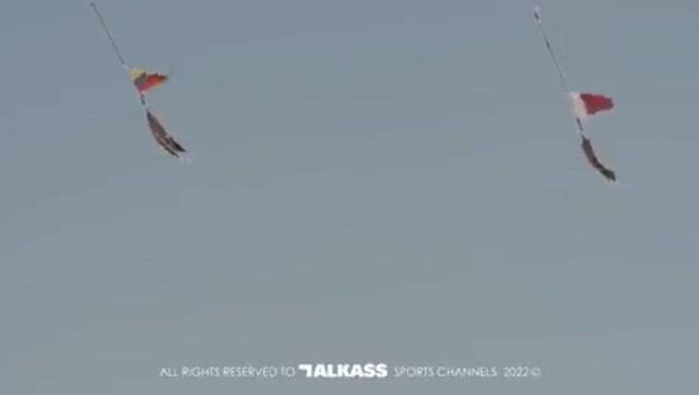 预测世界杯的动物有哪些，熊猫真是本届世界杯的大预言家