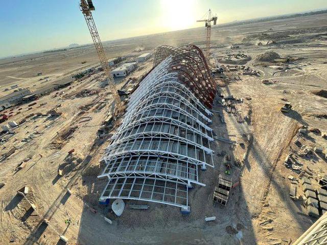 预测世界杯的动物有哪些，熊猫真是本届世界杯的大预言家