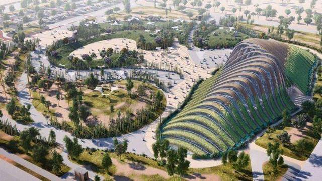 预测世界杯的动物有哪些，熊猫真是本届世界杯的大预言家