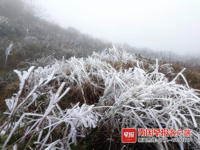 广西哪几个县道路结冰，广西多地出现冰冻、雾凇