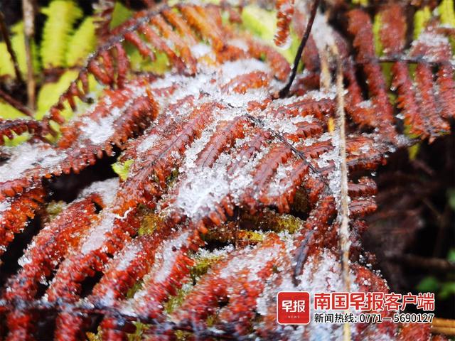广西哪几个县道路结冰，广西多地出现冰冻、雾凇