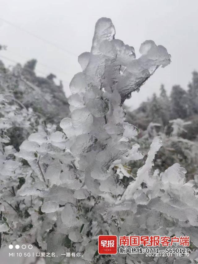 广西哪几个县道路结冰，广西多地出现冰冻、雾凇