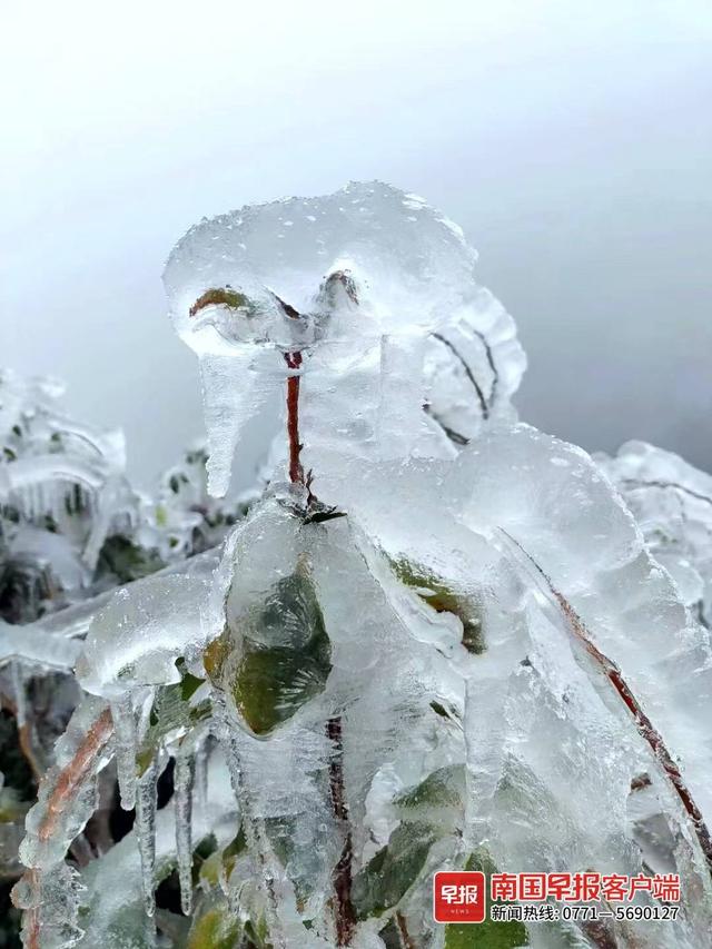 广西哪几个县道路结冰，广西多地出现冰冻、雾凇