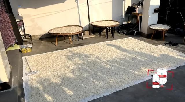 ​300斤萝卜被偷，300斤萝卜被偷找到已成萝卜丝