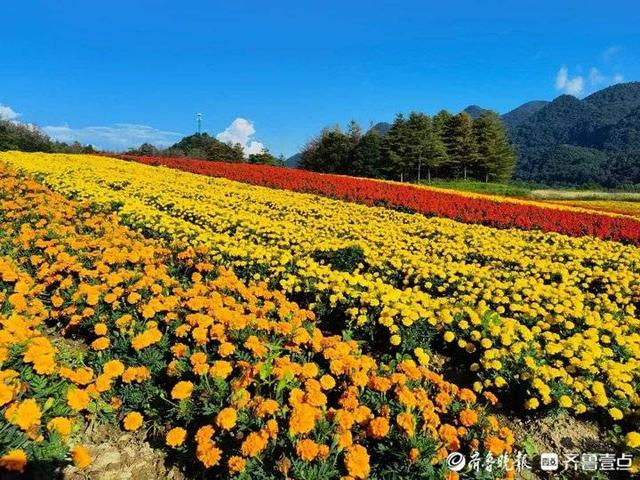 傅雷家书主要讲的是什么内容，傅雷家书主要内容是什么（随笔，细读《傅雷家书》）