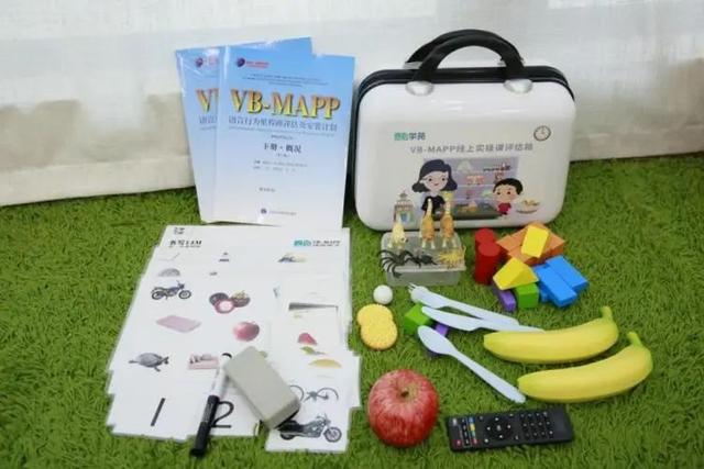 里程碑计划模板，执行计划书模板（深圳市海纳特教关于举办语言行为里程碑及安置计划）