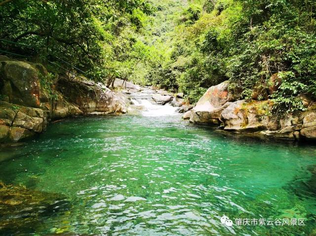 广东紫云谷旅游，肇庆这个景区恢复开放