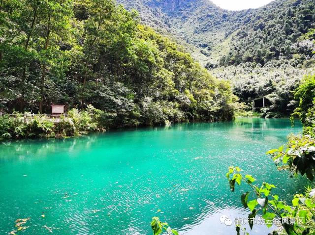 广东紫云谷旅游，肇庆这个景区恢复开放