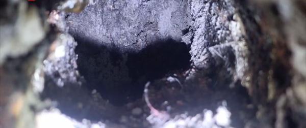 黑洞有人进去过吗，黑洞有人进去过吗（哈尔滨一公共楼道内惊险两个“黑洞”）