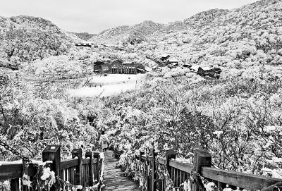 重庆市南川区金佛山景区雪景