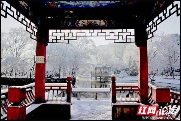 下雪后的西湖美得令人向往，雪后的西湖银装素裹
