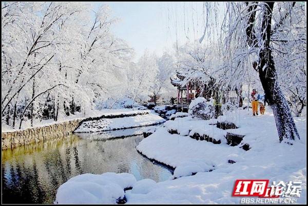 下雪后的西湖美得令人向往，雪后的西湖银装素裹
