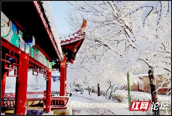 下雪后的西湖美得令人向往，雪后的西湖银装素裹