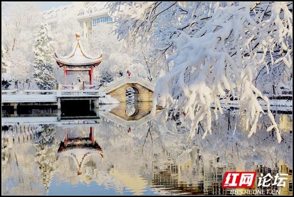 下雪后的西湖美得令人向往，雪后的西湖银装素裹
