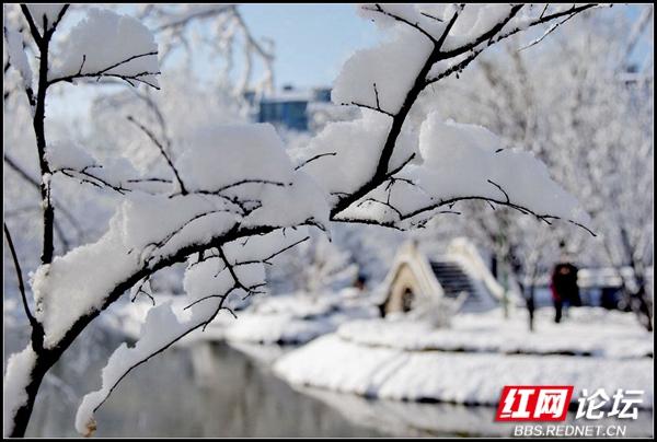 下雪后的西湖美得令人向往，雪后的西湖银装素裹