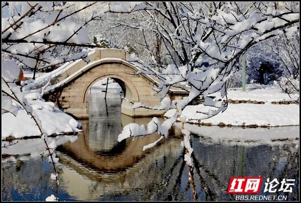 下雪后的西湖美得令人向往，雪后的西湖银装素裹