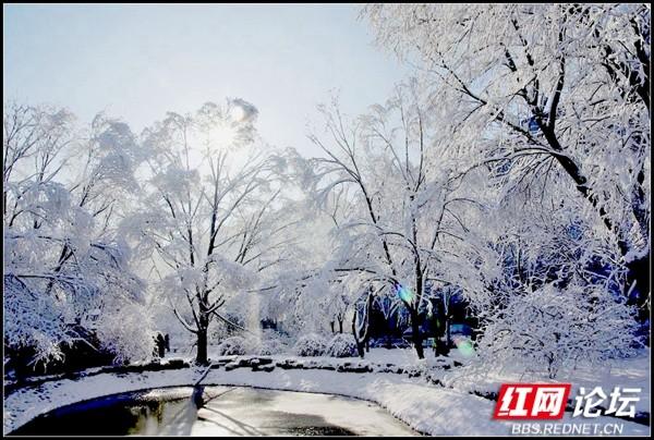 下雪后的西湖美得令人向往，雪后的西湖银装素裹