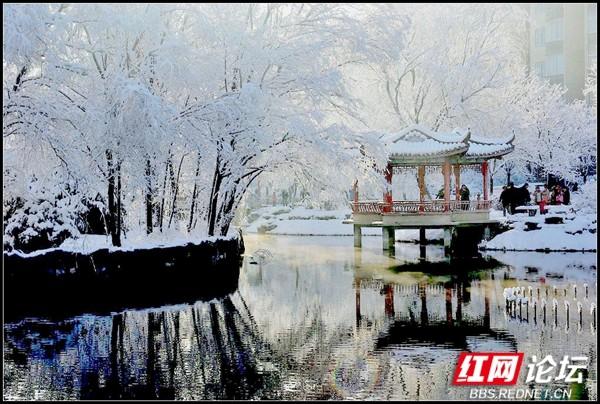 下雪后的西湖美得令人向往，雪后的西湖银装素裹