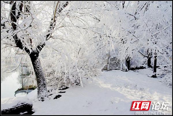 下雪后的西湖美得令人向往，雪后的西湖银装素裹