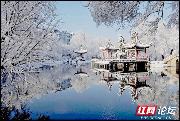 下雪后的西湖美得令人向往，雪后的西湖银装素裹