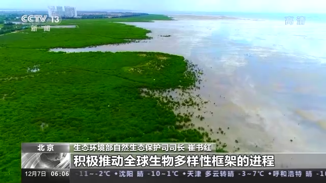 cop15是什么会议，cop15是什么会议,视听文山（COP15第二阶段会议将取得哪些成果）