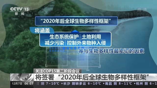 cop15是什么会议，cop15是什么会议,视听文山（COP15第二阶段会议将取得哪些成果）