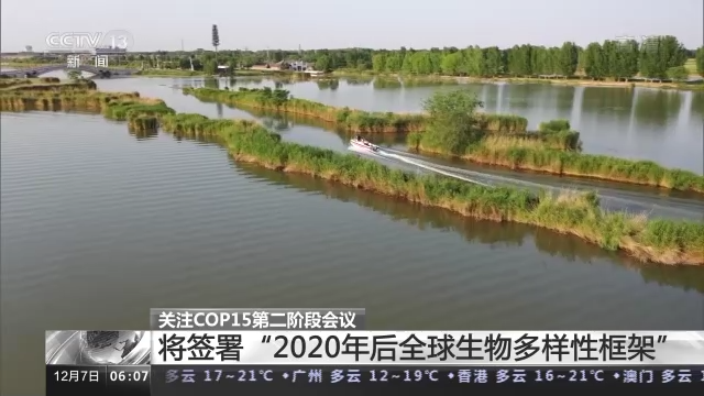 cop15是什么会议，cop15是什么会议,视听文山（COP15第二阶段会议将取得哪些成果）