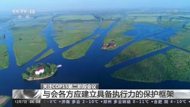 cop15是什么会议，cop15是什么会议,视听文山（COP15第二阶段会议将取得哪些成果）