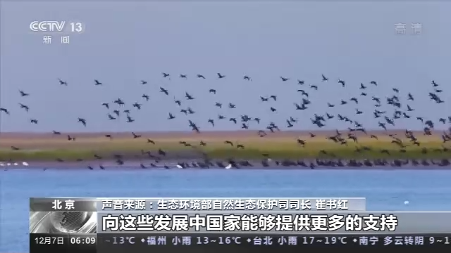 cop15是什么会议，cop15是什么会议,视听文山（COP15第二阶段会议将取得哪些成果）