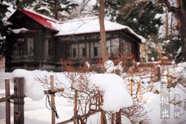 春天的图片大自然风景，春天大自然风景图片优美（大雪时节丨风雪始盛，万物收藏）