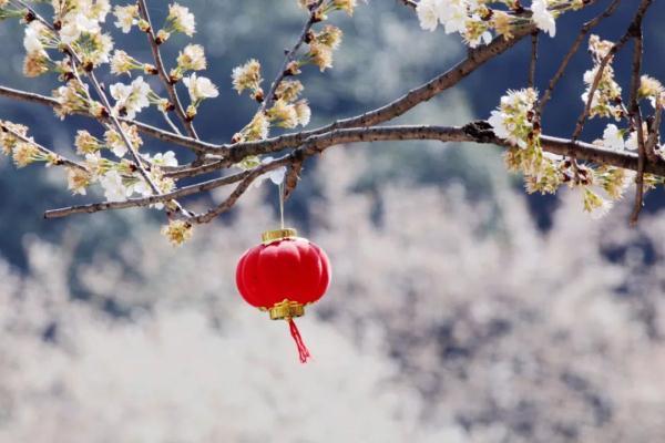 春天的图片大自然风景，春天大自然风景图片优美（大雪时节丨风雪始盛，万物收藏）