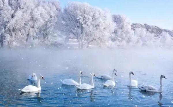 春天的图片大自然风景，春天大自然风景图片优美（大雪时节丨风雪始盛，万物收藏）