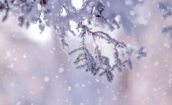 春天的图片大自然风景，春天大自然风景图片优美（大雪时节丨风雪始盛，万物收藏）