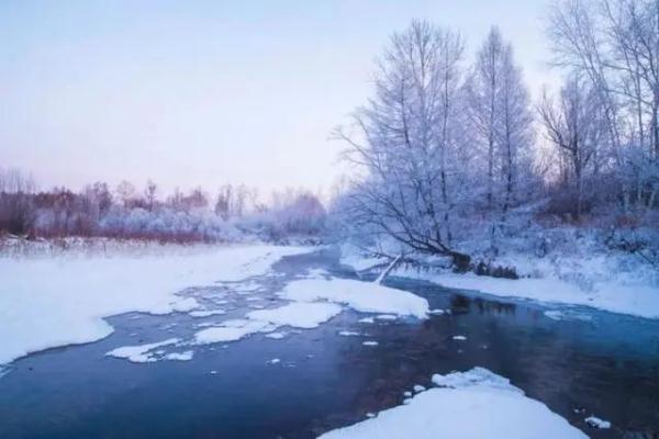 春天的图片大自然风景，春天大自然风景图片优美（大雪时节丨风雪始盛，万物收藏）