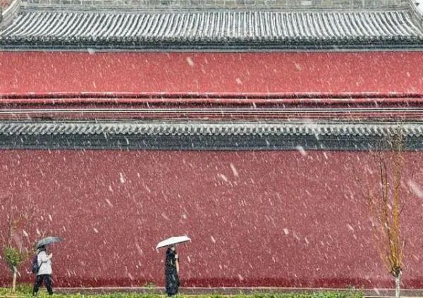 春天的图片大自然风景，春天大自然风景图片优美（大雪时节丨风雪始盛，万物收藏）
